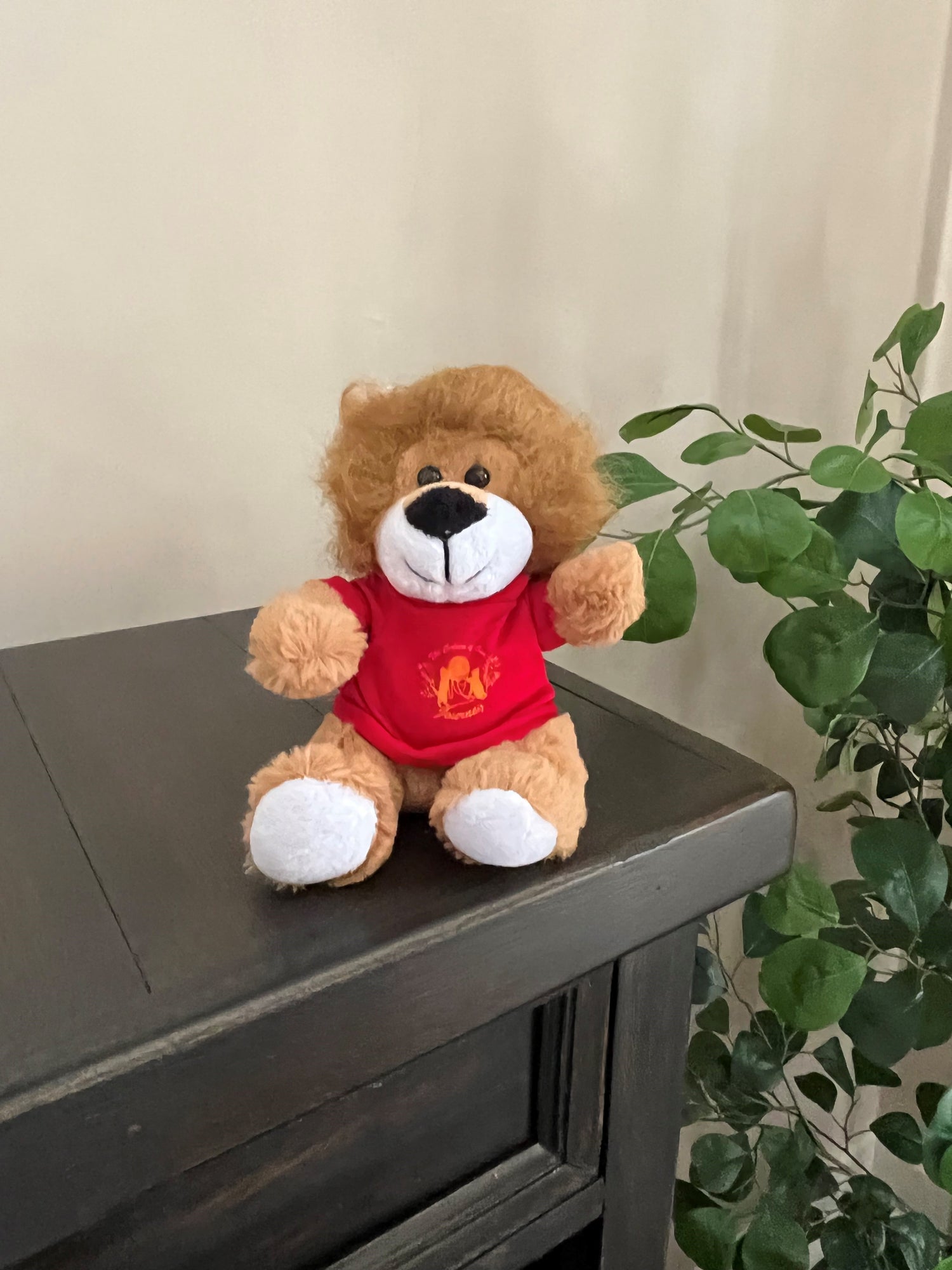 6" Lovable Lion With Red Shirt